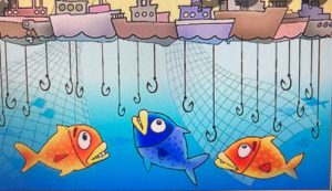 Overfishing is Bad for the Environment