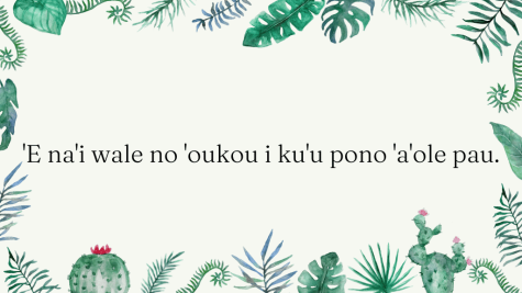Hawaiian Phrase of the Day