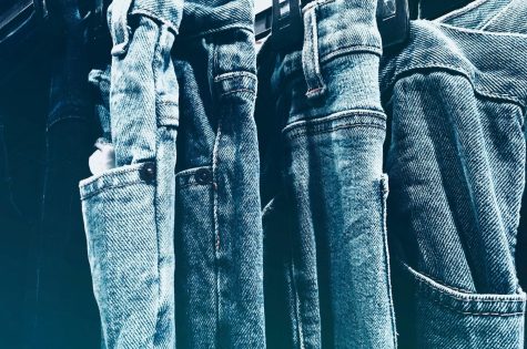 Sustainable Jeans, Sustainable Future