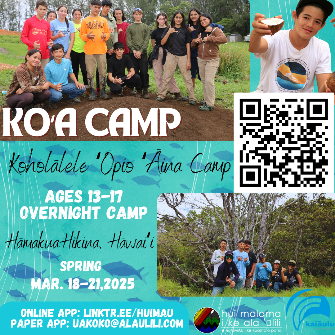 Apply for Spring Break Camp